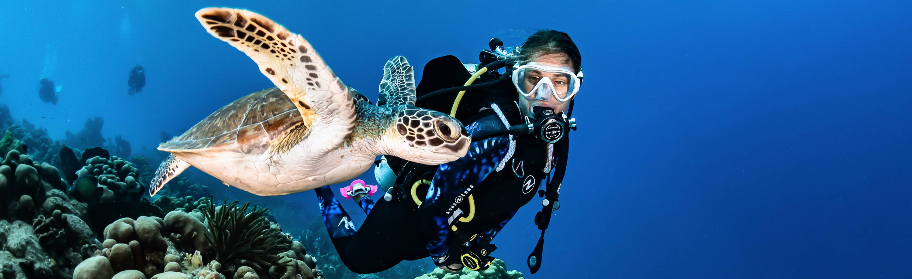 Ocean Plastics & Debris: How Can We Drown The Problem