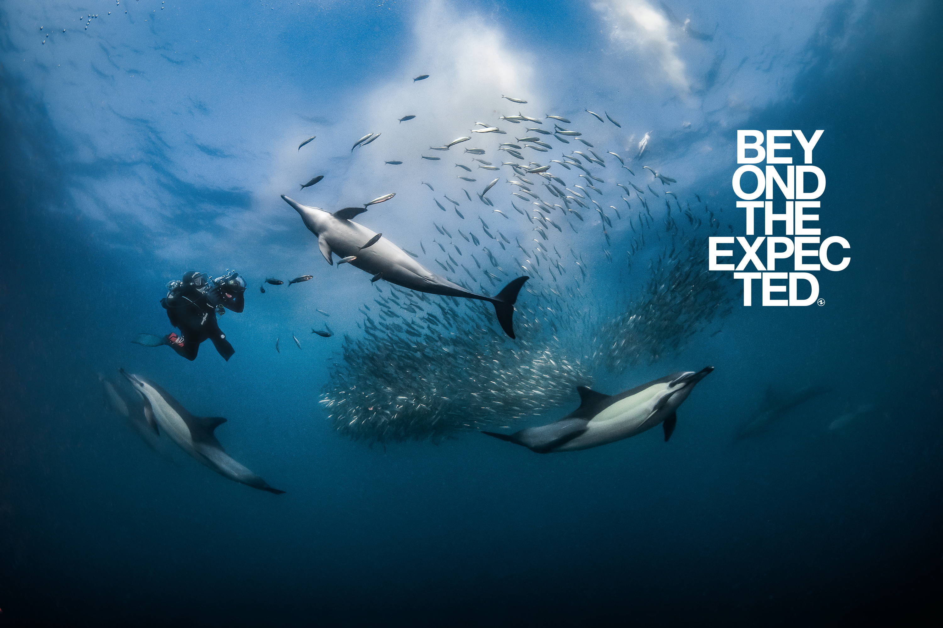 Welcome To The New AquaLung