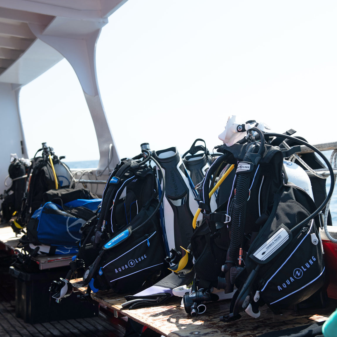BCD Accessories