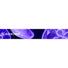 Fast Strap || Colour::Jellyfish