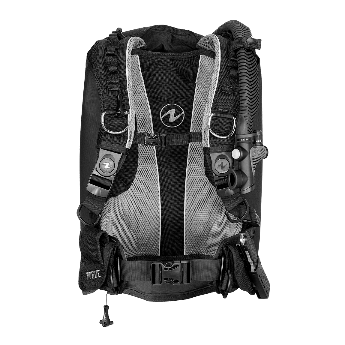 Rogue || Color::Black