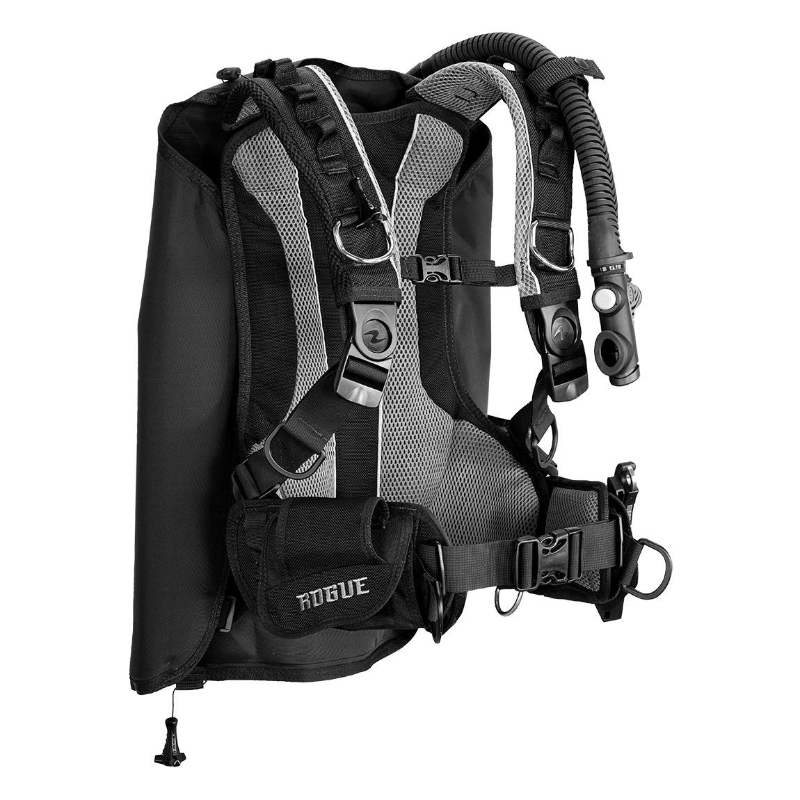 Rogue || Color::Black