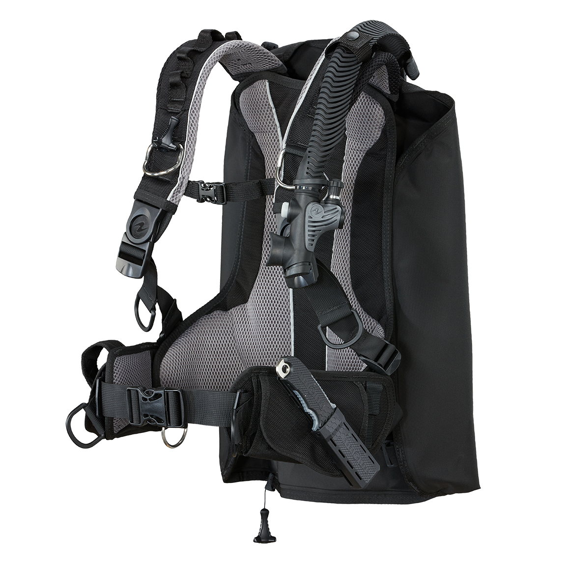 Rogue || Color::Black
