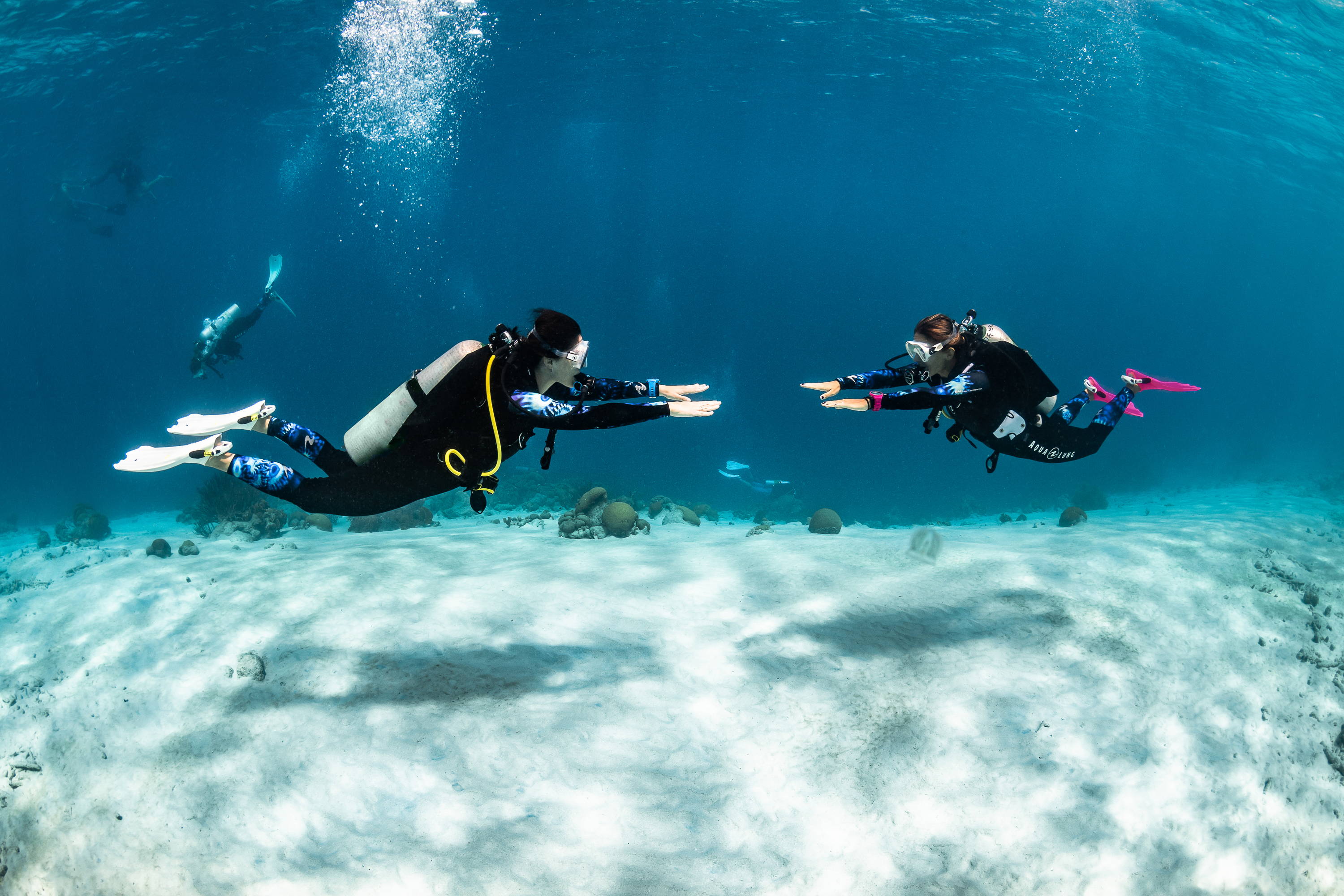 Celebrating the Women of Dive: Their Stories