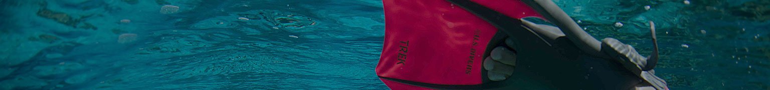 Snorkel Fins