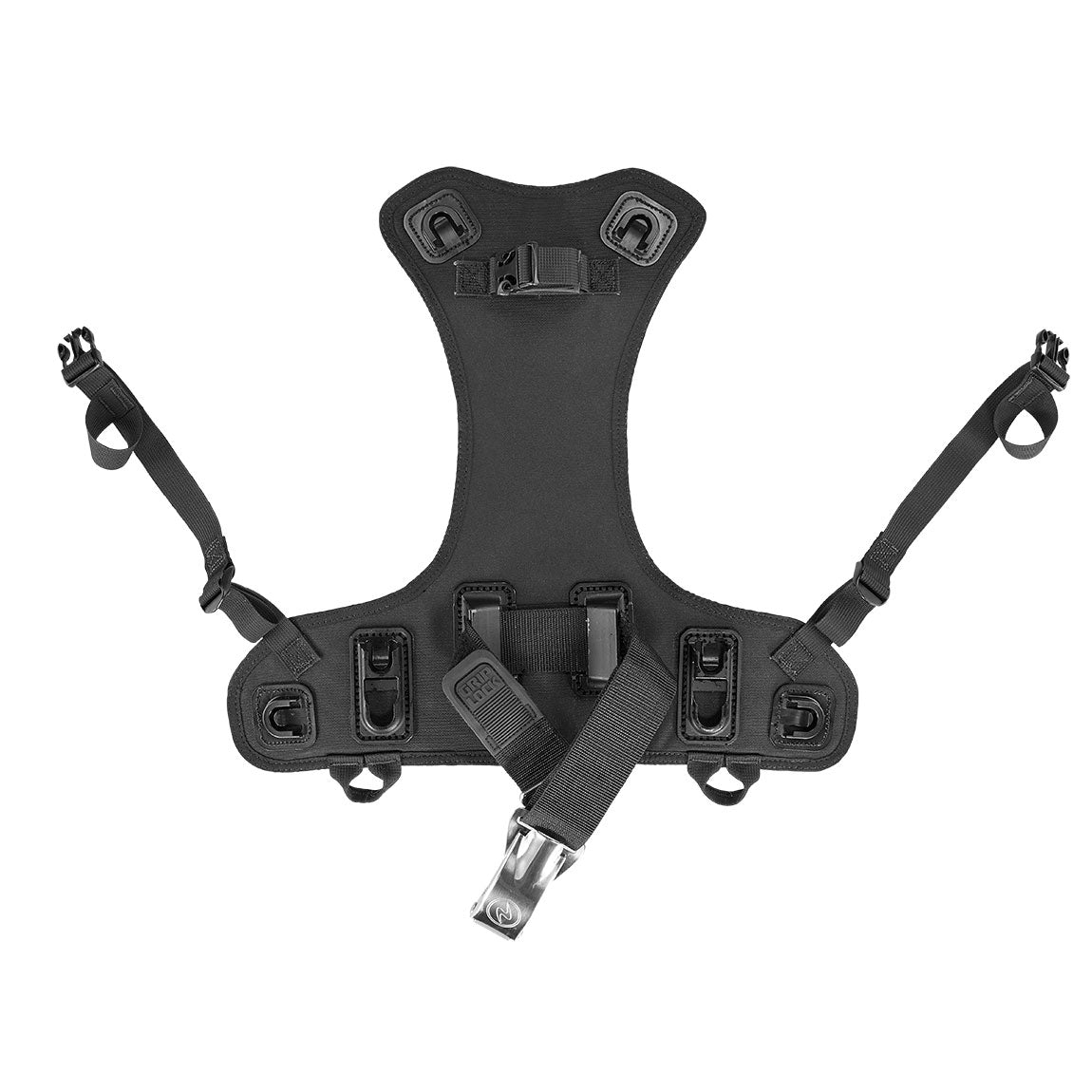 Outlaw Back Assembly